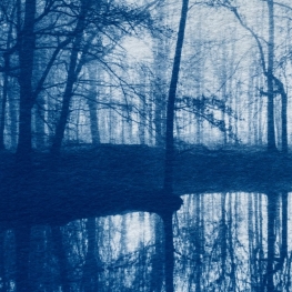 _reflectie _reflectie