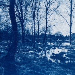 _duinwater _duinwater