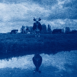 _koe II _koe II