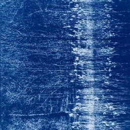 _riet _riet