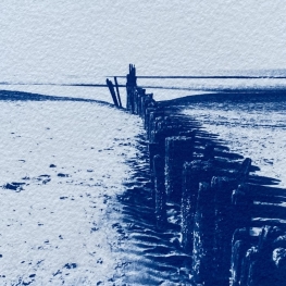 _aan zee _aan zee