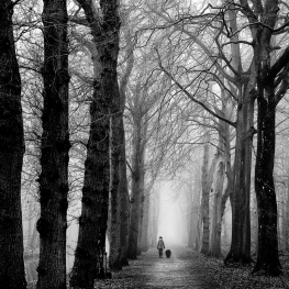 _mysterie _mysterie
