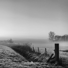 _januari _januari