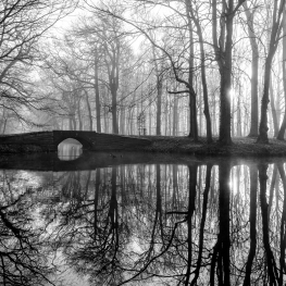 _maart _maart