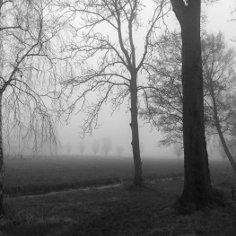 _oktober _oktober