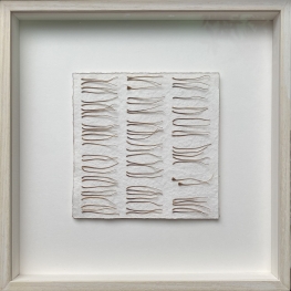 _pistillium _pistillium