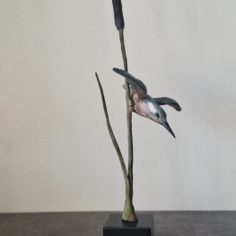 Duikende Ijsvogel Duikende Ijsvogel