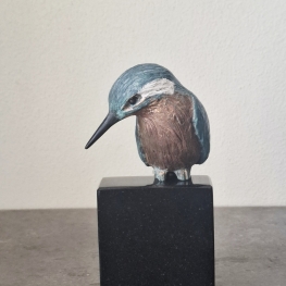 Ijsvogel zittend op steen 6/8 Ijsvogel zittend op steen 6/8