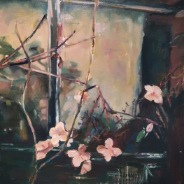 Shade's Secret Garden Shade's Secret Garden