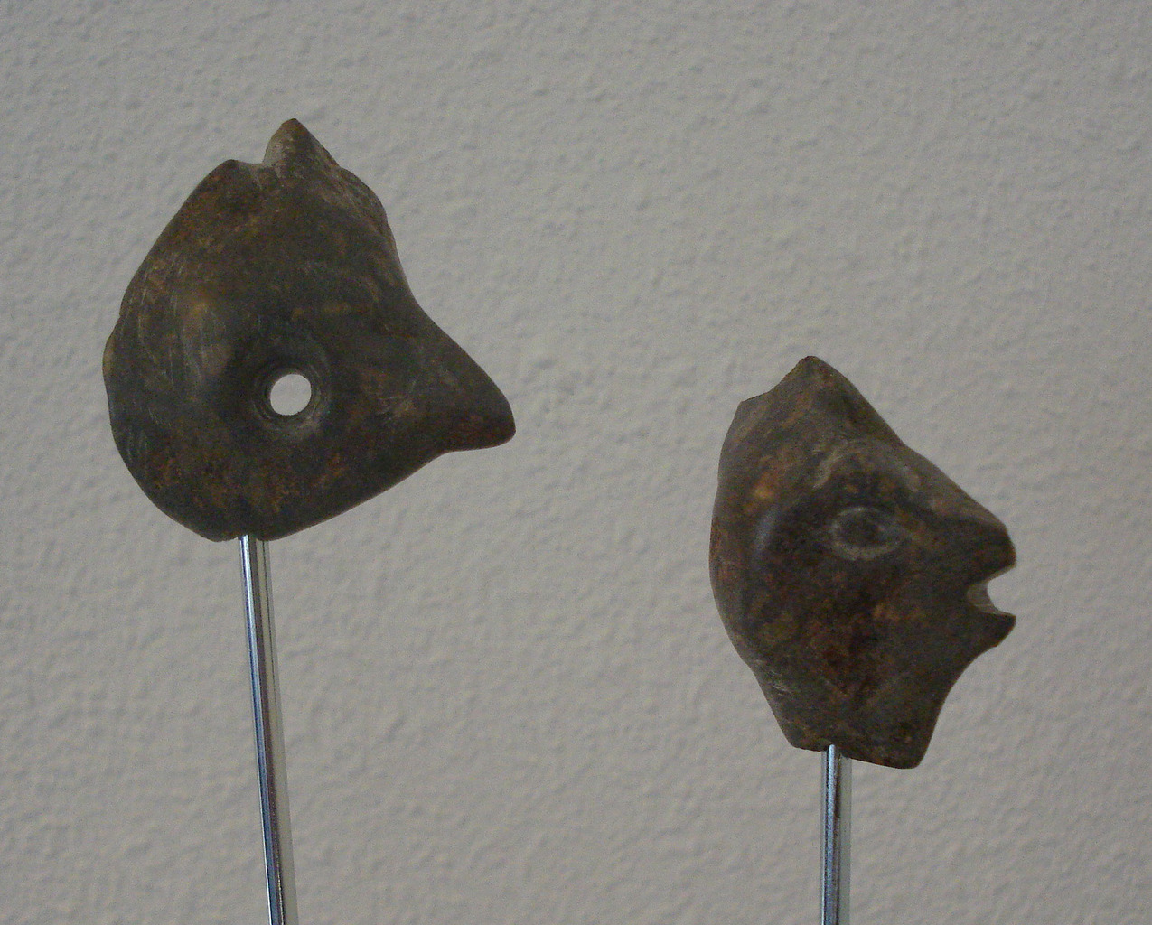 2 rare vogels