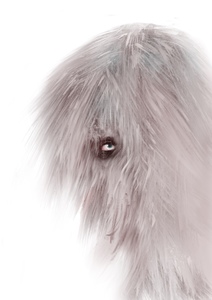Digitale tekeningen, vaak getekend met de iPad Pro of met een tekenprogramma op de computer.