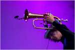 Music Dutch bands