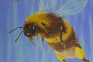 recent werk in zowel acryl- en olieverf op linnen.
