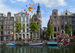 diverse waarnemingen in mijn omgeving