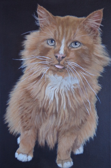 Kater Mazzel