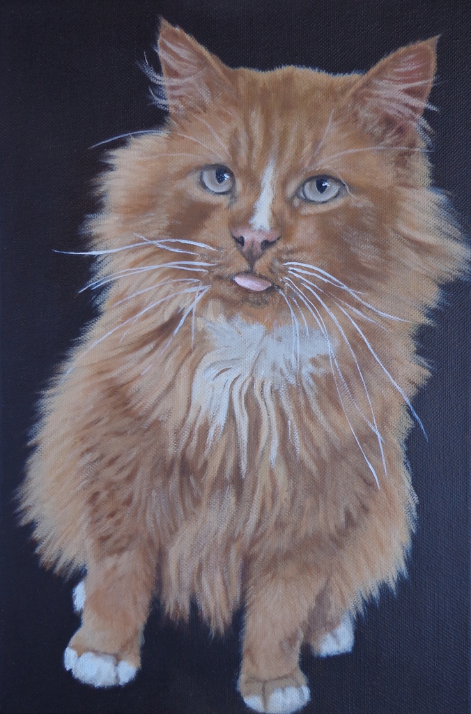 Kater Mazzel