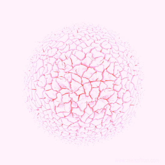 Stoneflower