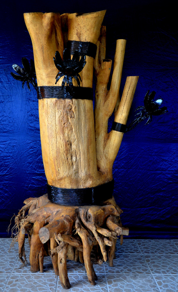 Dama di Anochi