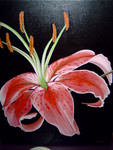 bloemen en fruitsoorten