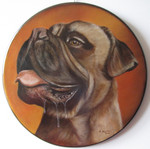 diverse soorten honden