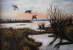 landschap en natuur