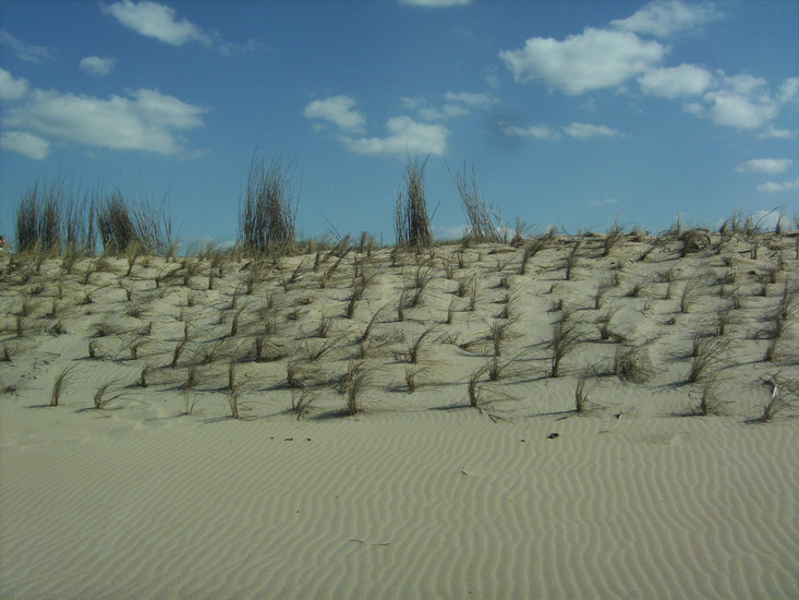 c) Zeeland