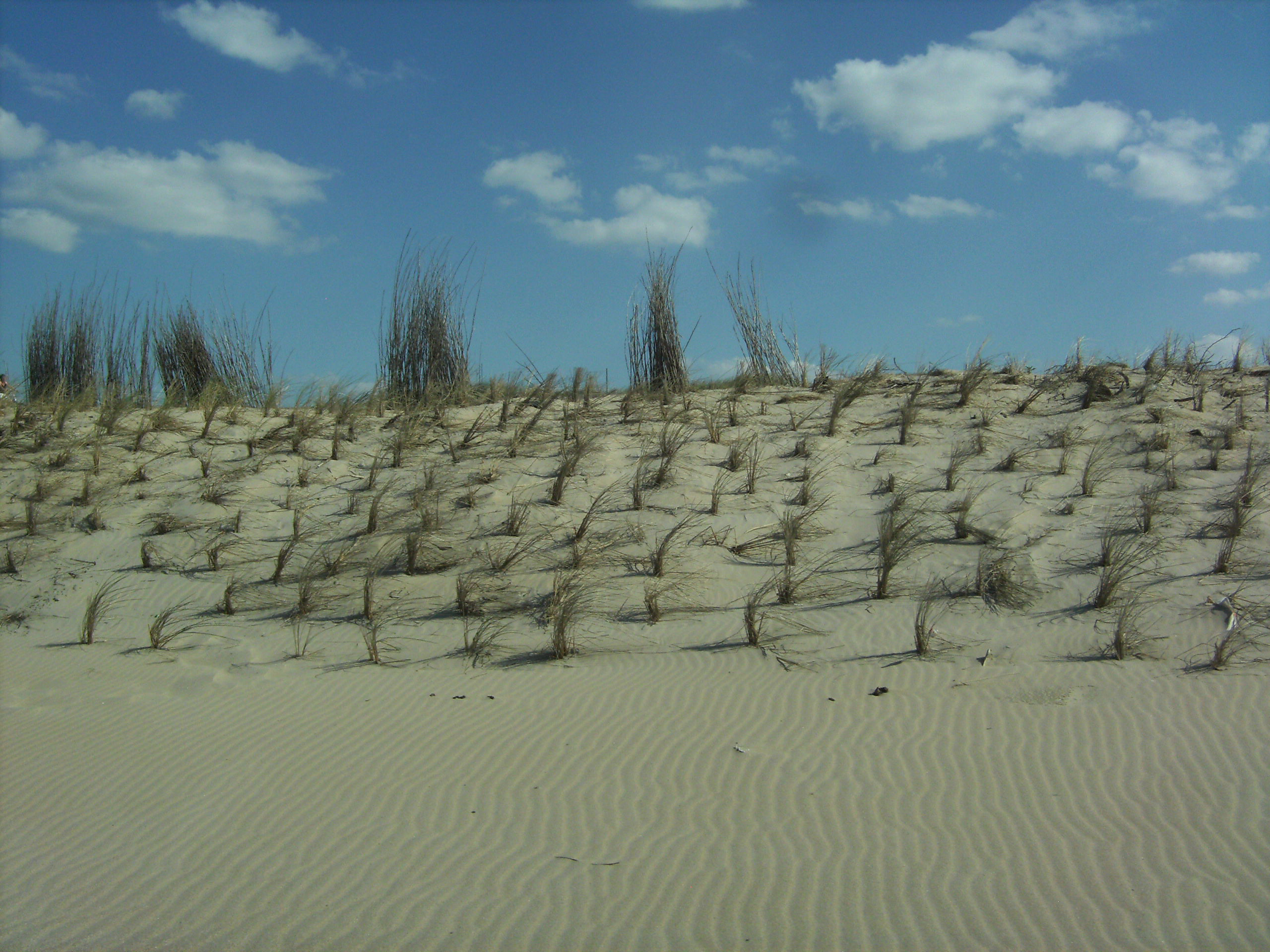 c) Zeeland