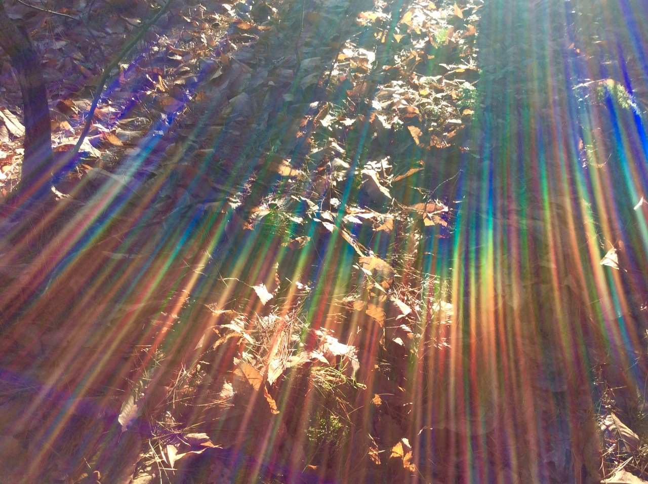 Regenboogstralen