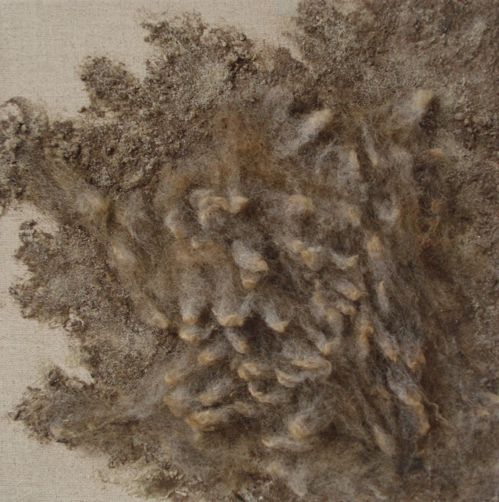 materie Texelse wol 1