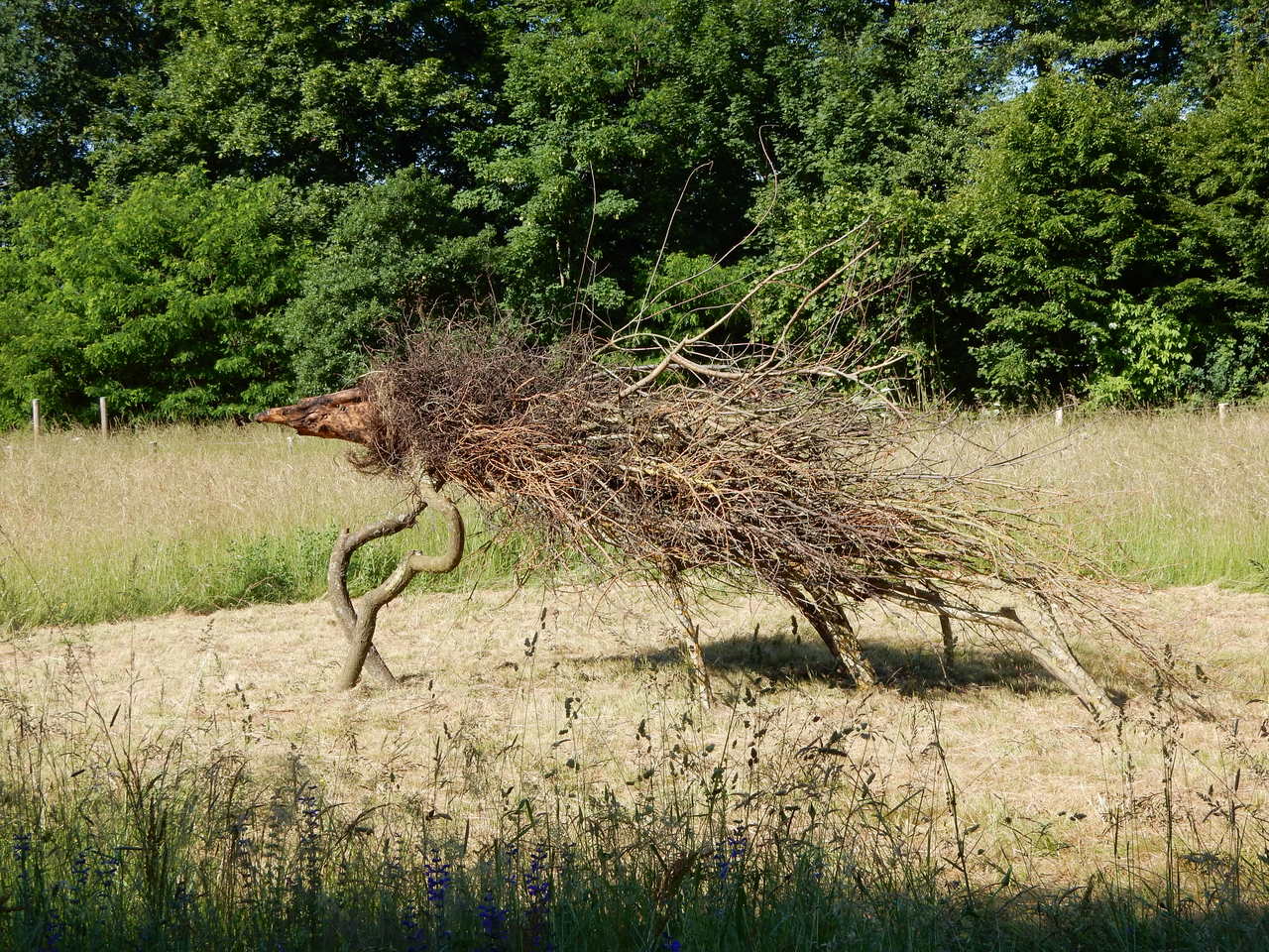 Tree animal Riorges