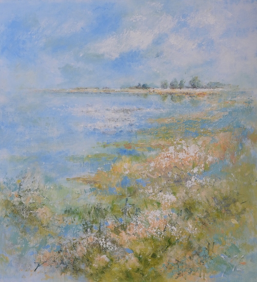 Ankeveense Plassen