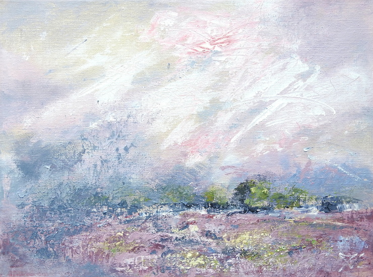 Heide landschap