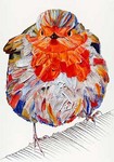 Hyperrealistic bird paintings with an expressionistic quality.