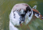Paintings made of 'real' paint.