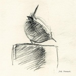 Reproductions of Dirk's field sketches from his sketchbooks. Printed on framed canvas. It is a low-budget print, with an unlimited edition, printed signature and a quality that is somewhat less than the museum quality of Dirk's giclees, but still very nice.