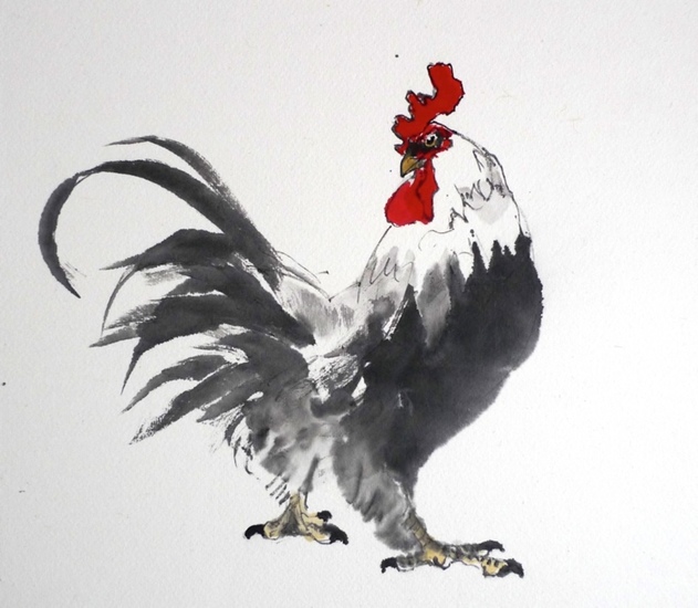 Rooster