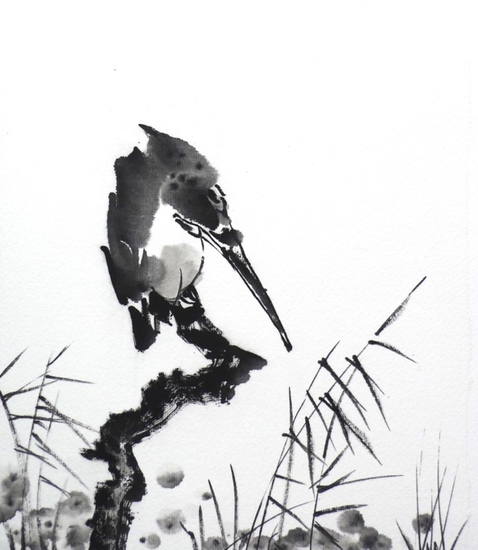 Kingfisher/branch