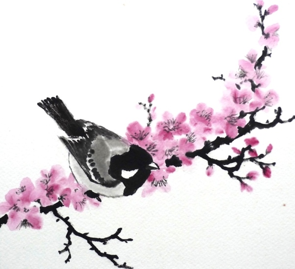 blossom/bird