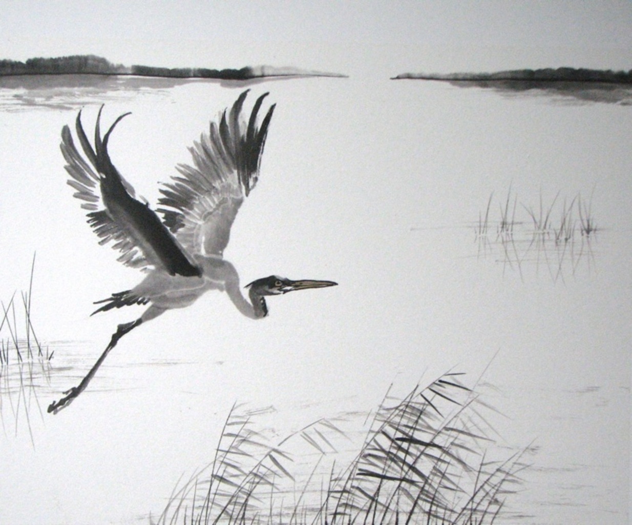reiger in vlucht