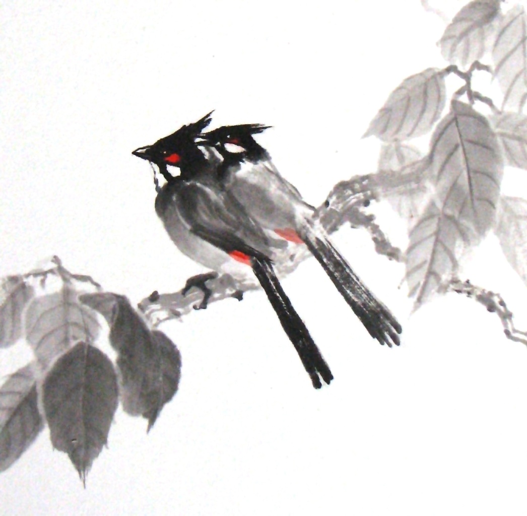 Bulbul