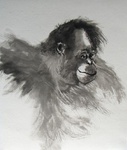 Inkpaintings on ricepaper (2007-2023)