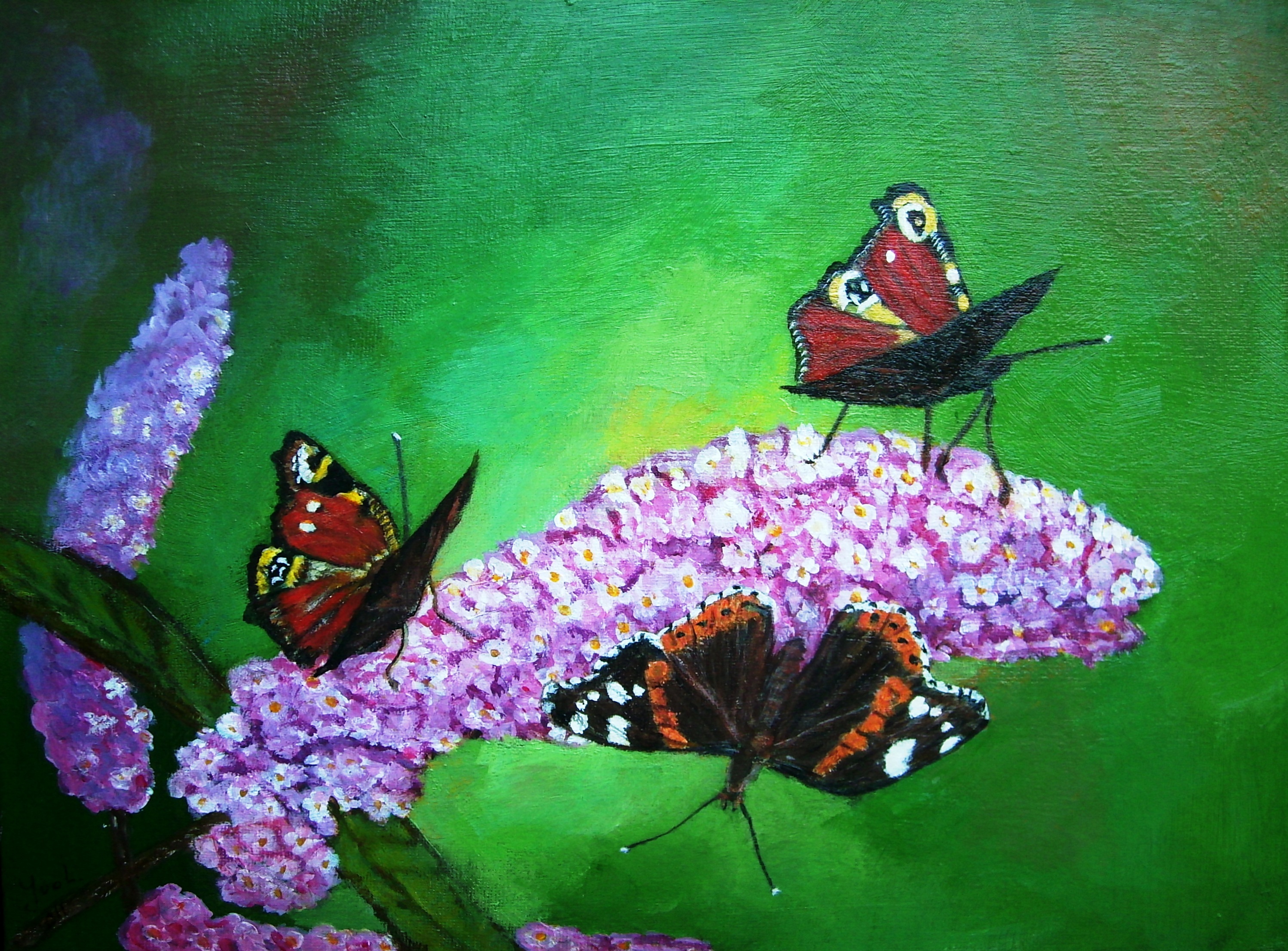 Vlinders