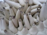 The piece of jewelry and the sculpture melt together in one coralshape.