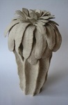 Seeds and fruits... their shapes and shell... all texture and structure