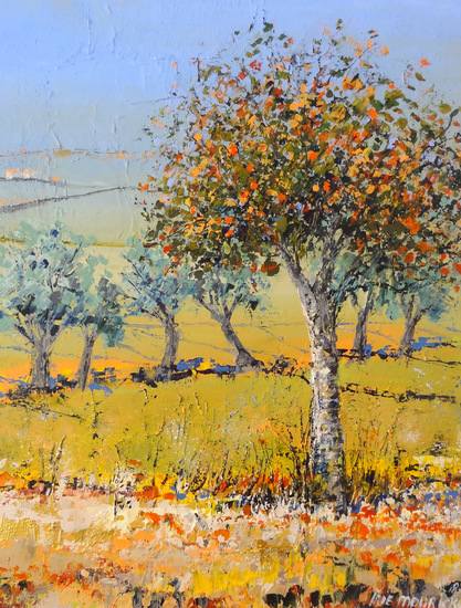orange tree and green fields