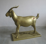 Special exhibitions and projects.