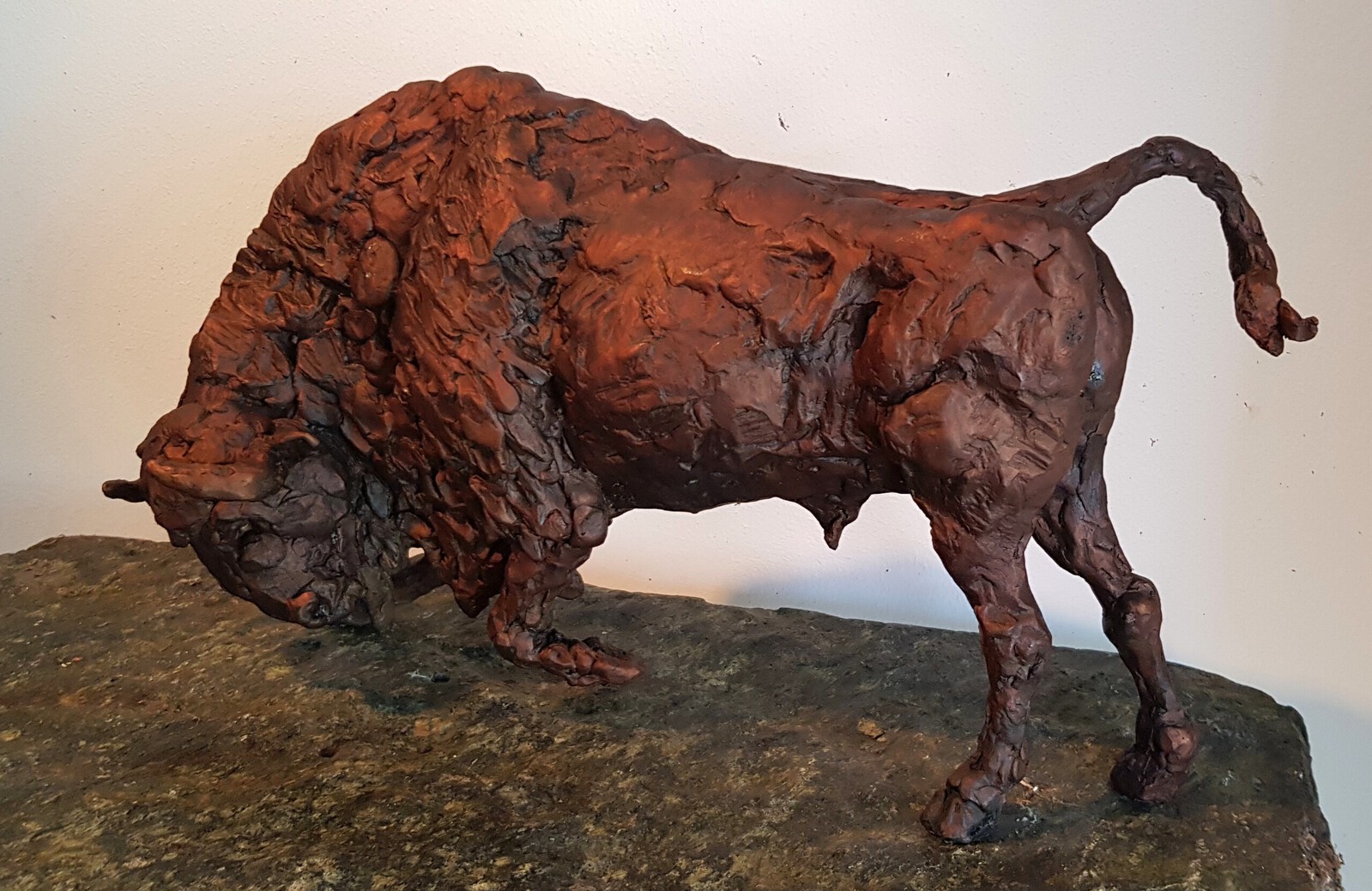 Wisent