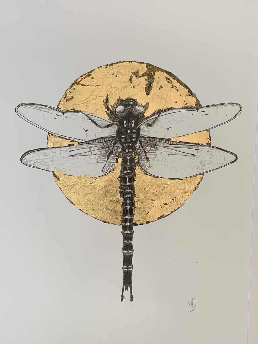 Dragonfly