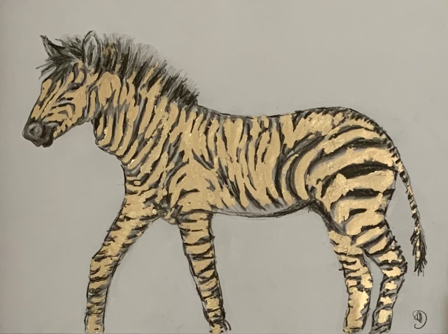 Cape Mountain Zebra