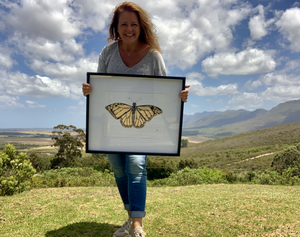 Limited Edition Pencil Drawing with Gold Leaf
A Touch of Gold
Monarch Vlinder Spirituele betekenis:
Komt de vlinder in jouw leven dan laat deze je weten dat er een nieuw begin heel dichtbij is. Een transformatie naar een leven in liefde, vreugde en gezondheid.